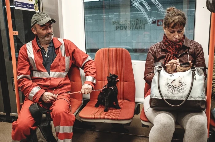 Strange Finds And Situations (19 pics)