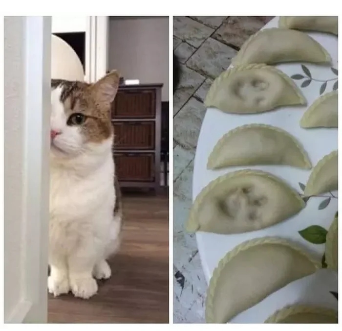 Strange Finds And Situations (19 pics)