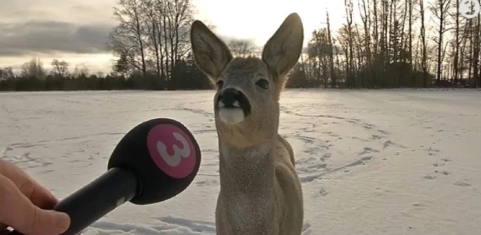 Strange Finds And Situations (19 pics)