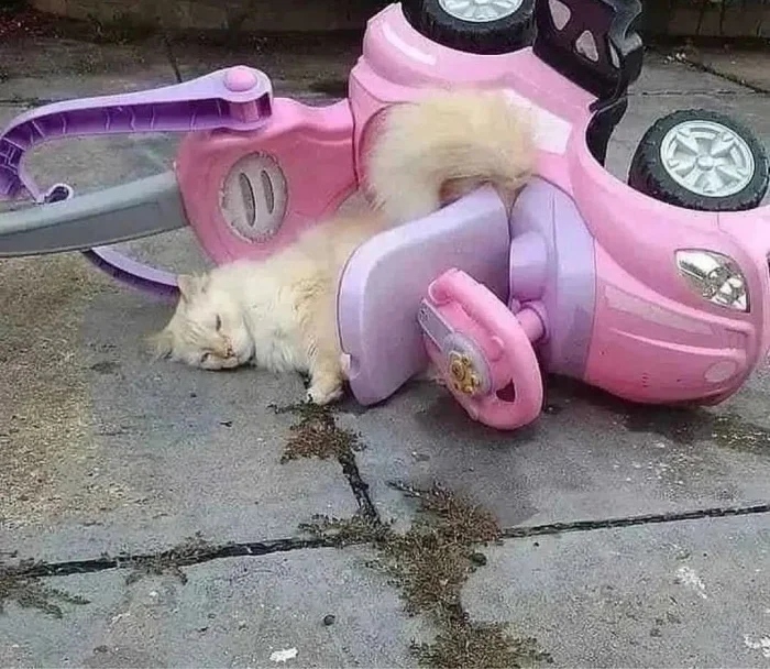 Strange Finds And Situations (19 pics)