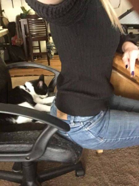 Daily Pictures. Part 1 (65 pics)