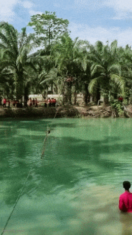 Acid GIFs, October 17 (25 gifs) Acid GIFs, October 17 (25 gifs)