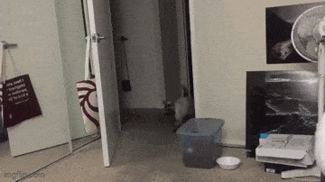 Acid GIFs, October 17 (25 gifs) Acid GIFs, October 17 (25 gifs)