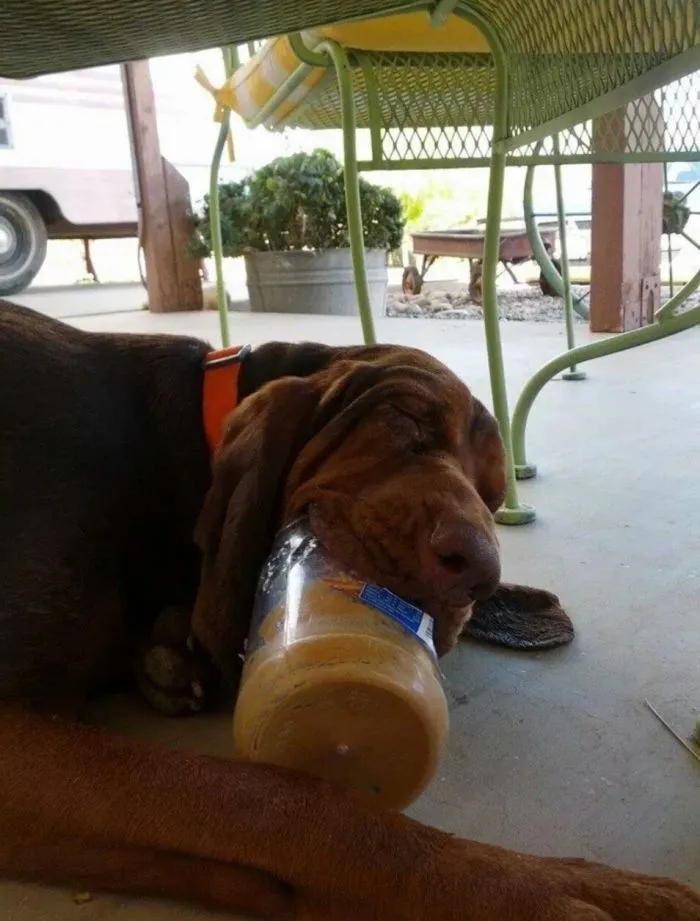 Cute And Funny Criminals (22 pics)
