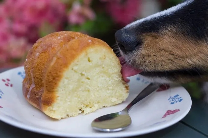 Cute And Funny Criminals (22 pics)