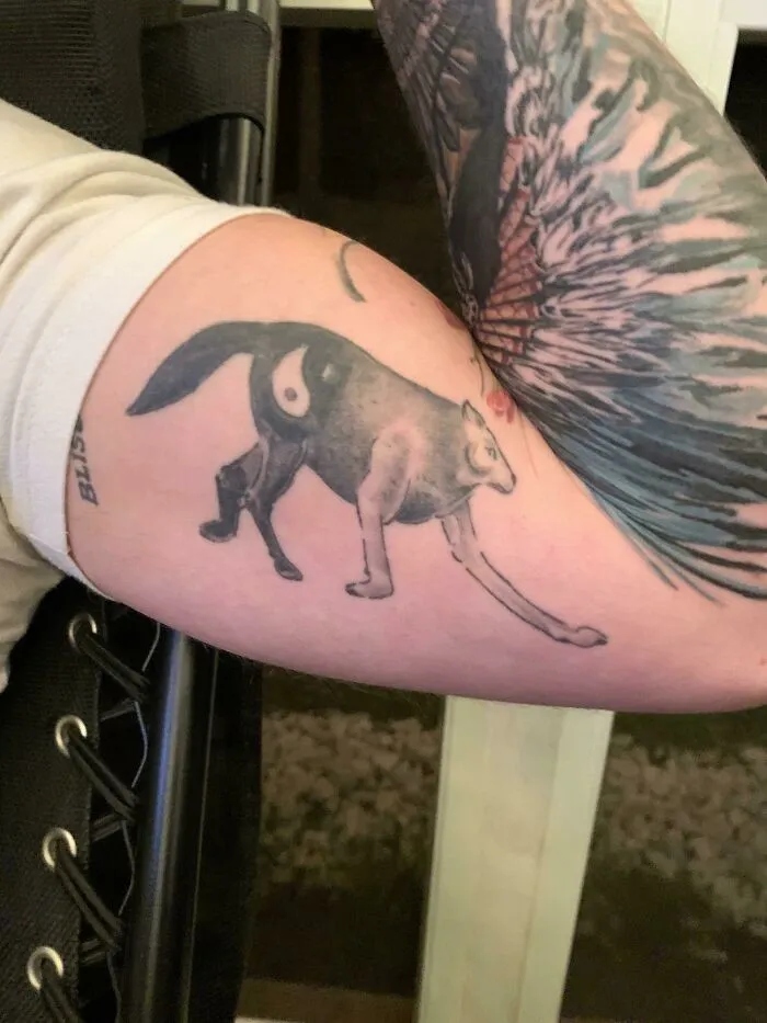 Failed Tattoos (23 pics)