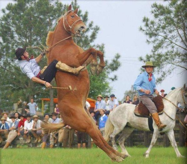 Right Moment (19 pics)
