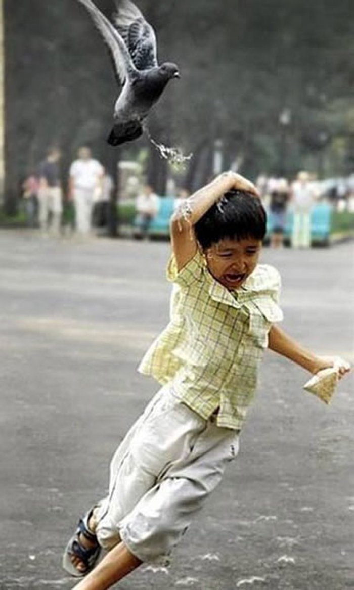 Right Moment (19 pics)