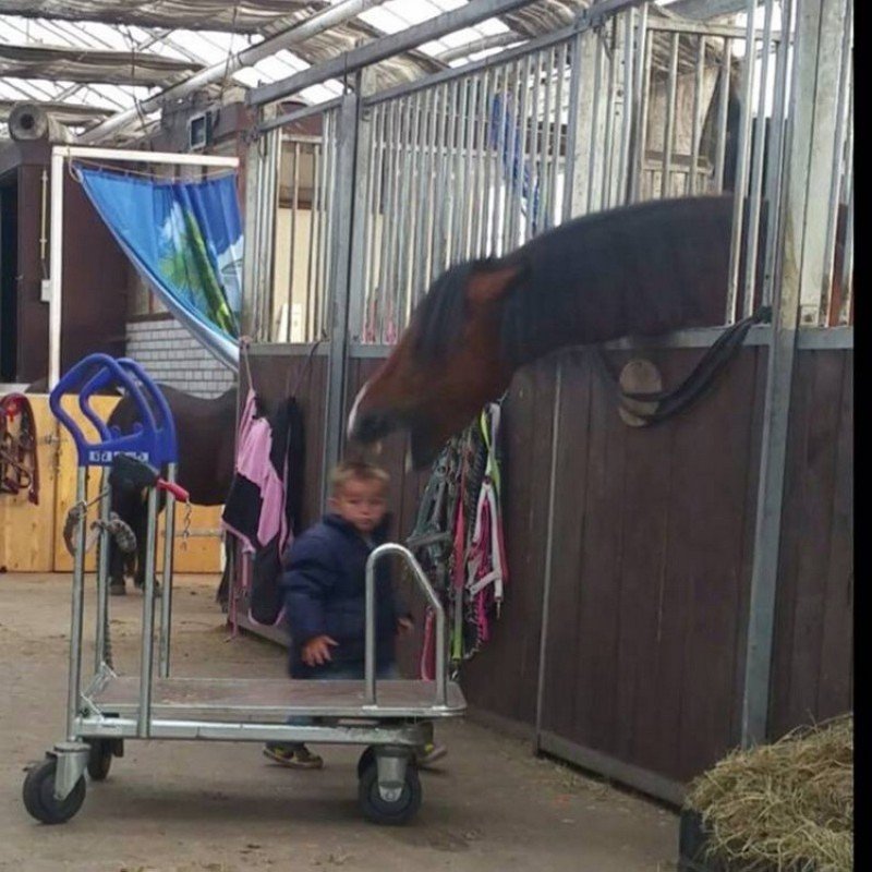 Right Moment (19 pics)