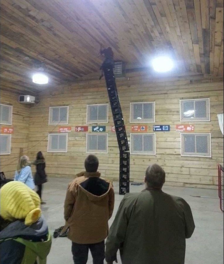 Right Moment (19 pics)