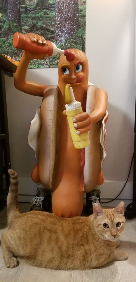 Hilarious Finds In Thrift Shops (18 pics)