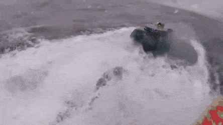 Acid GIFs, October 20 (25 gifs) Acid GIFs, October 20 (25 gifs)