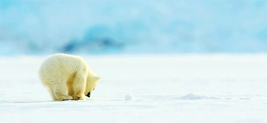 Acid GIFs, October 20 (25 gifs) Acid GIFs, October 20 (25 gifs)