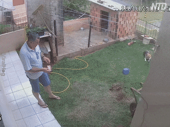 Acid GIFs, October 20 (25 gifs) Acid GIFs, October 20 (25 gifs)