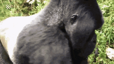 Acid GIFs, October 20 (25 gifs) Acid GIFs, October 20 (25 gifs)