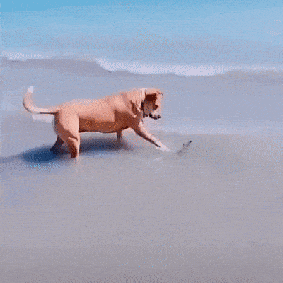 Acid GIFs, October 20 (25 gifs) Acid GIFs, October 20 (25 gifs)