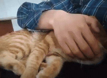 Acid GIFs, October 20 (25 gifs) Acid GIFs, October 20 (25 gifs)