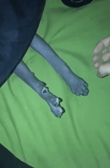 Acid GIFs, October 20 (25 gifs) Acid GIFs, October 20 (25 gifs)