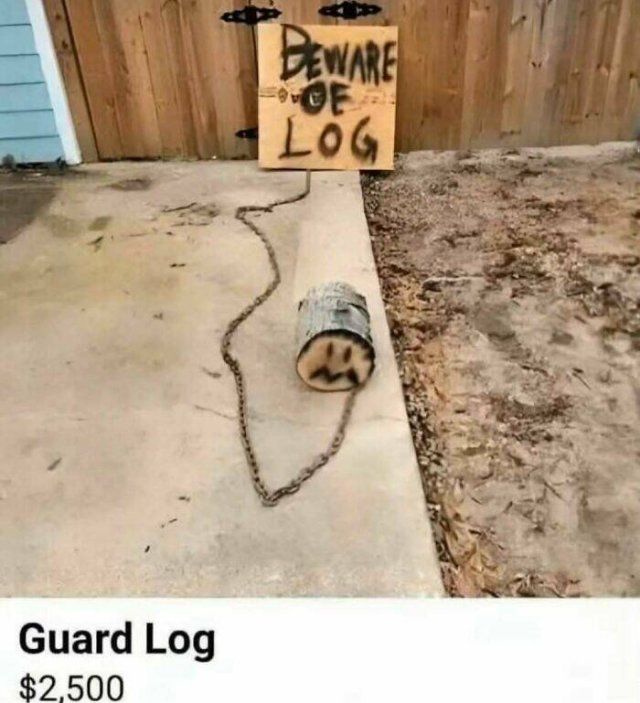 What Is Going On Here? (25 pics)