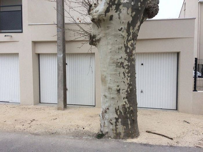 Failed Designs And Constructions (25 pics)
