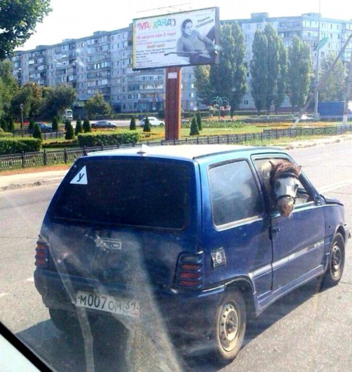 Crazy Tuning (20 pics)