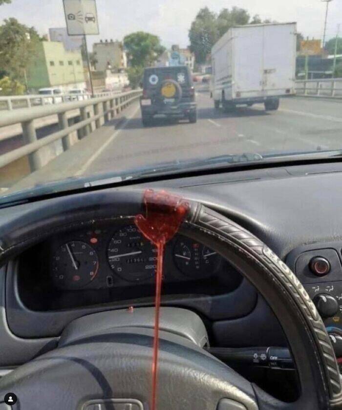 Strange Finds And Situations (23 pics)