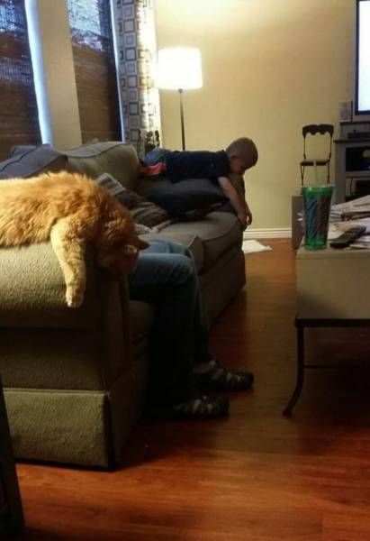 Daily Pictures. Part 1 (64 pics)