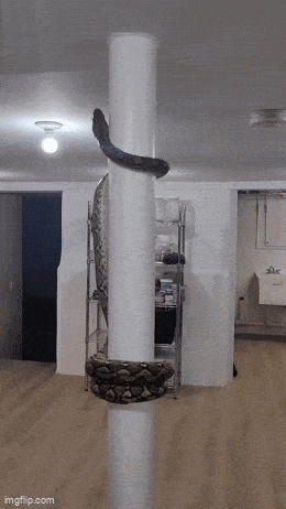 Acid GIFs, October 21 (25 gifs) Acid GIFs, October 21 (25 gifs)