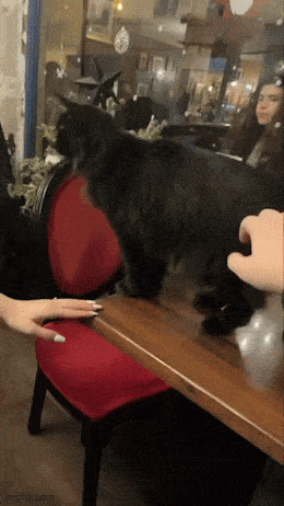 Acid GIFs, October 21 (25 gifs) Acid GIFs, October 21 (25 gifs)