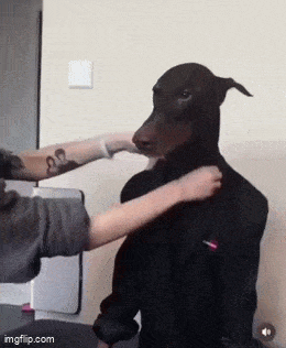 Acid GIFs, October 21 (25 gifs) Acid GIFs, October 21 (25 gifs)