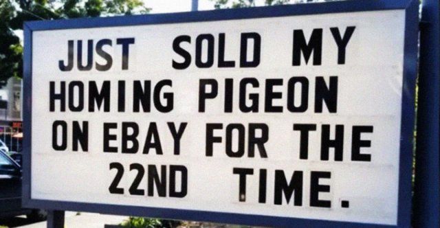 Funny Signs (22 pics)