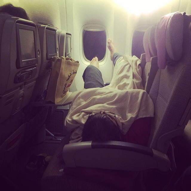 Terrible Fellow Travelers (23 pics)
