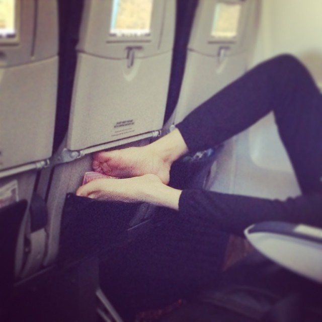 Terrible Fellow Travelers (23 pics)