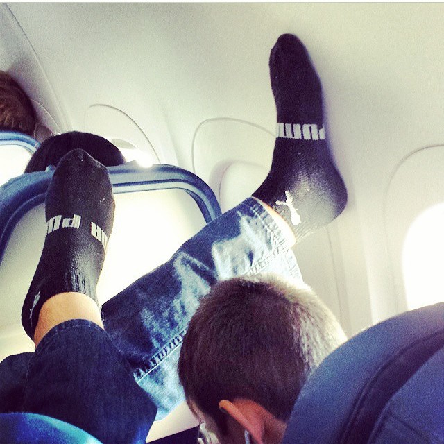 Terrible Fellow Travelers (23 pics)