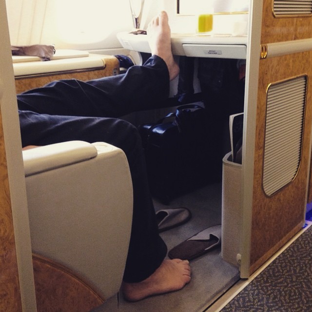 Terrible Fellow Travelers (23 pics)