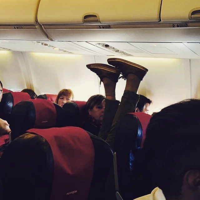 Terrible Fellow Travelers (23 pics)