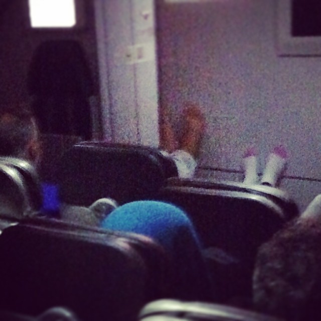 Terrible Fellow Travelers (23 pics)