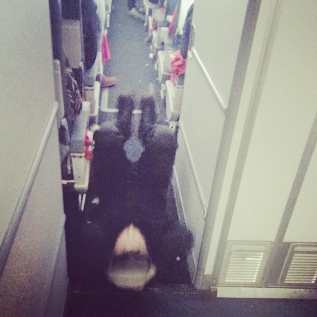 Terrible Fellow Travelers (23 pics)