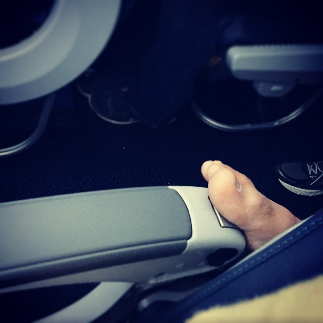 Terrible Fellow Travelers (23 pics)