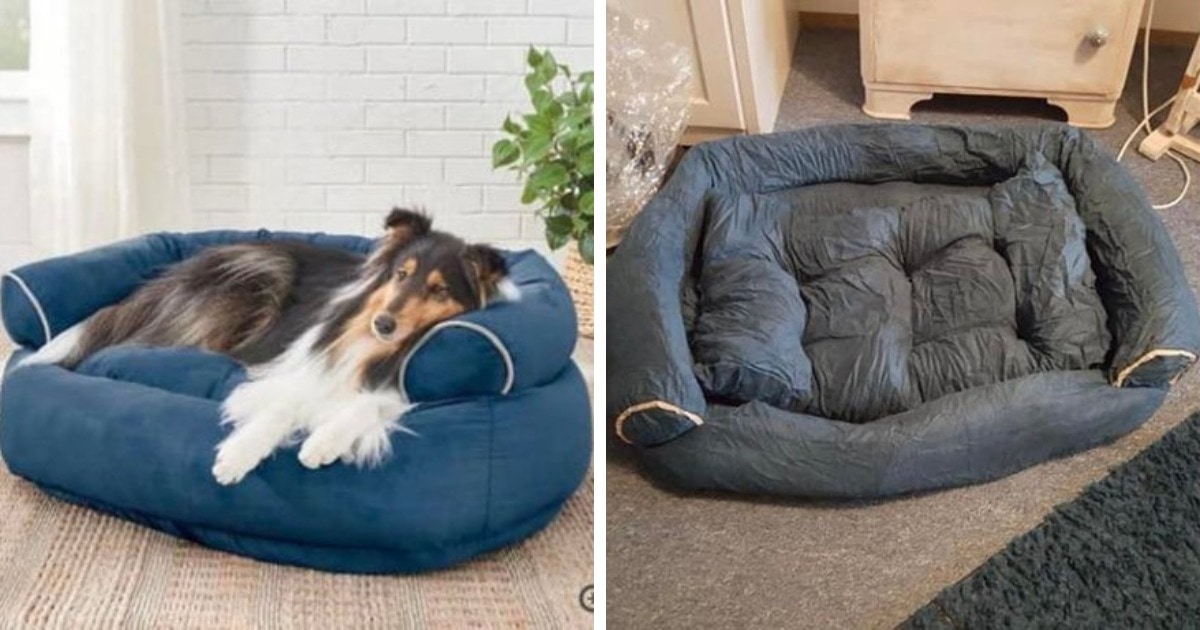 Expectations Against Reality (14 pics)