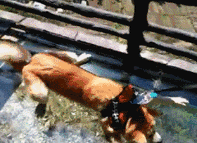 Acid GIFs, October 22 (25 gifs) Acid GIFs, October 22 (25 gifs)