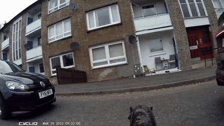 Acid GIFs, October 22 (25 gifs) Acid GIFs, October 22 (25 gifs)