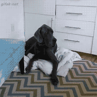 Acid GIFs, October 22 (25 gifs) Acid GIFs, October 22 (25 gifs)
