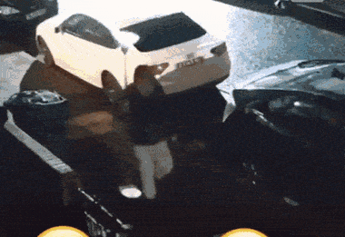 Acid GIFs, October 22 (25 gifs) Acid GIFs, October 22 (25 gifs)