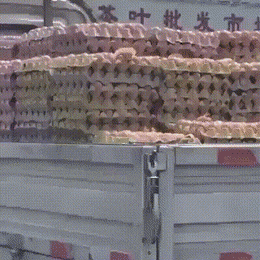 Acid GIFs, October 22 (25 gifs) Acid GIFs, October 22 (25 gifs)