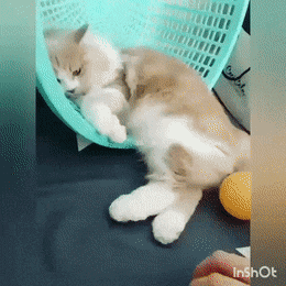 Acid GIFs, October 22 (25 gifs) Acid GIFs, October 22 (25 gifs)