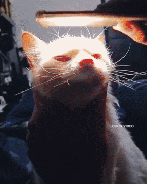 Acid GIFs, October 22 (25 gifs) Acid GIFs, October 22 (25 gifs)