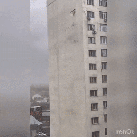 Acid GIFs, October 22 (25 gifs) Acid GIFs, October 22 (25 gifs)