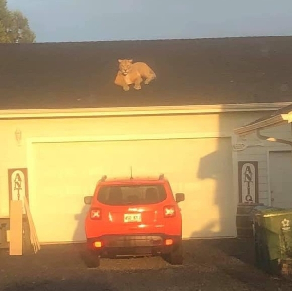 Bad Days Happen (19 pics)
