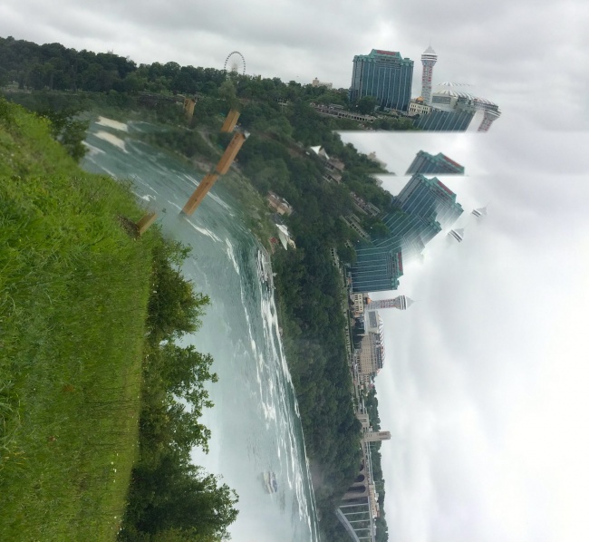 Funny Panoramic Photos (18 pics)